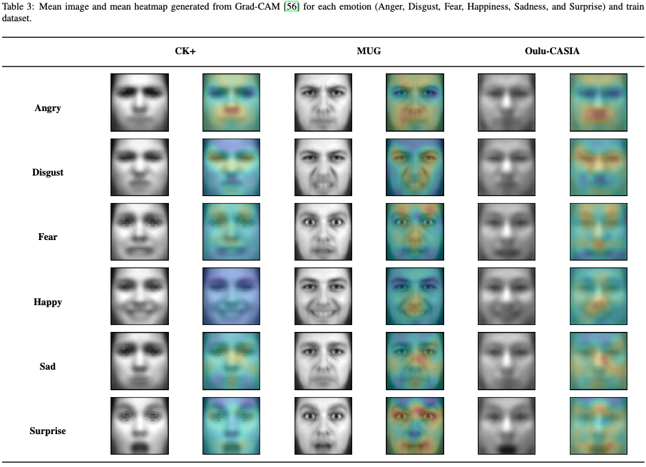 Cross-dataset emotion recognition from facial expressions through ...